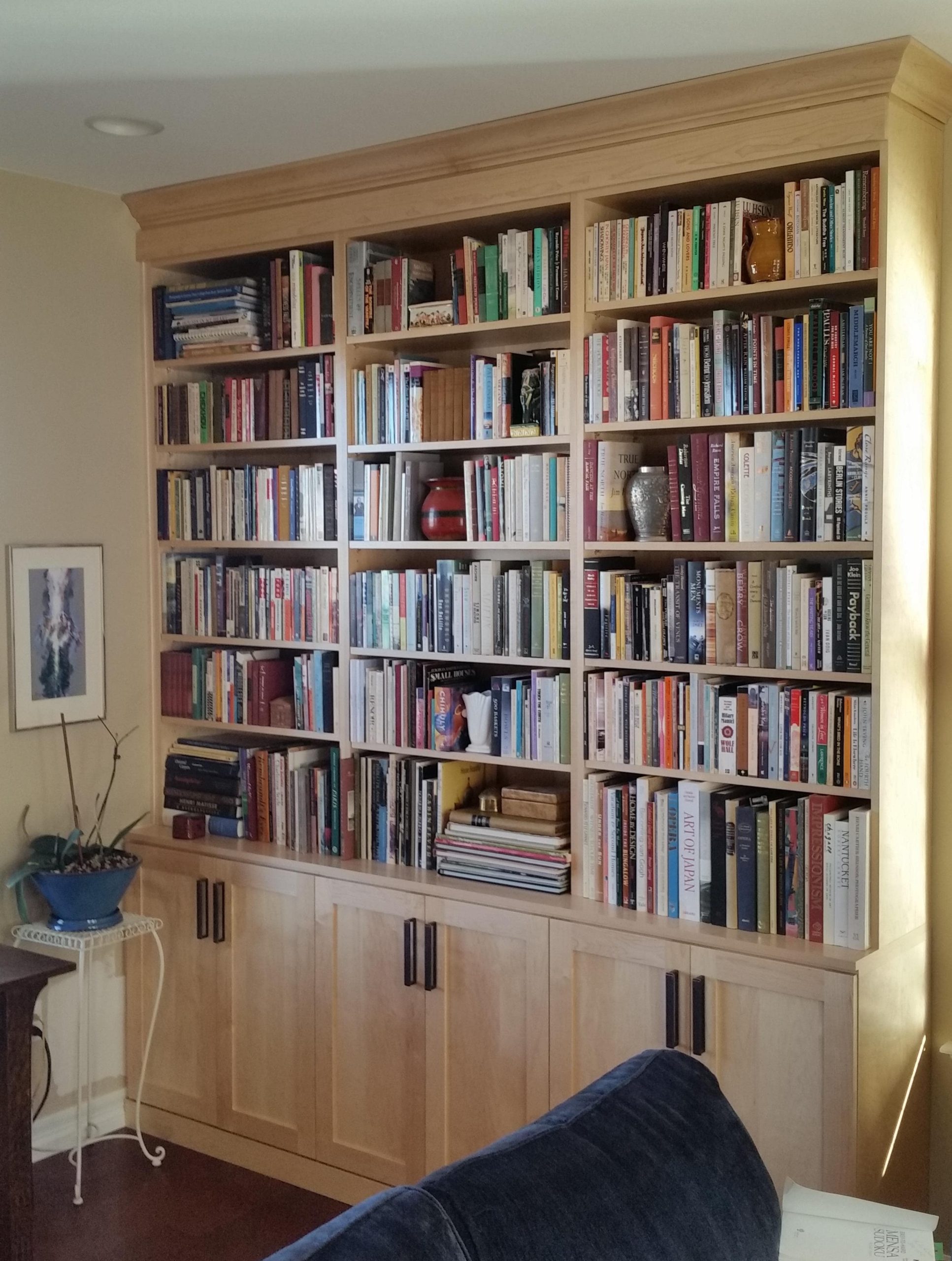 Custom-Cabinets-Bookcases